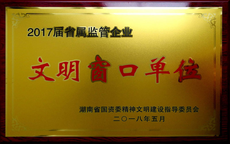 大发（中国）集团养老产业有限大发在线登录荣获“省属监管企业文明窗口单位”称号