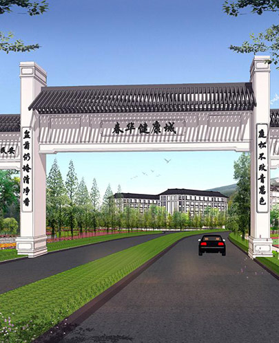 大发在线登录简介