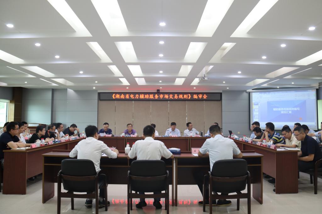 《湖南省电力辅助服务市场交易规则》编审会在株洲航电分大发在线登录召开