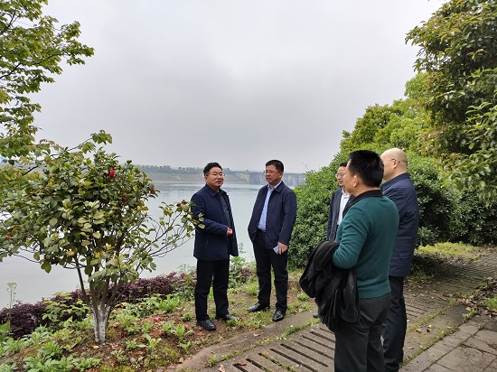省国资委安稳处督查株洲航电分大发在线登录安全生产和防洪防汛工作