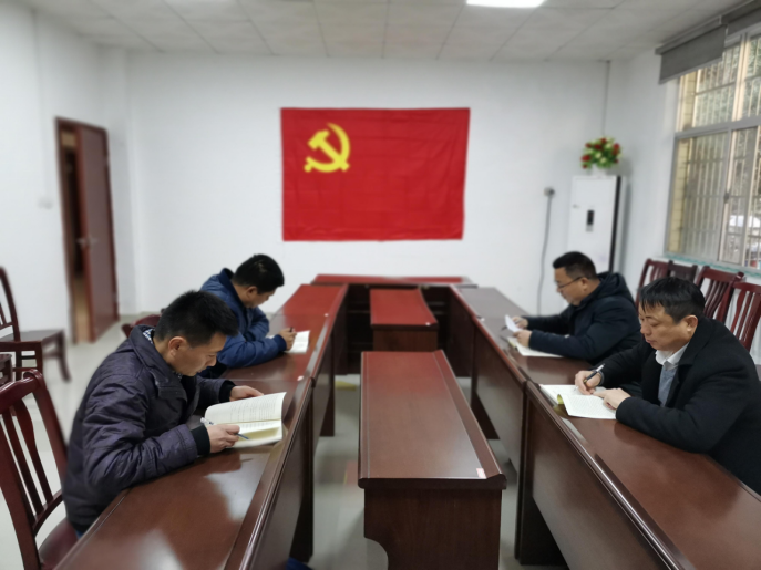 湖南鸟儿巢水电站发电有限大发在线登录党支部正式成立