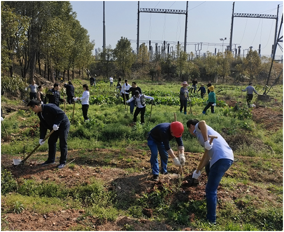 untitled.png untitled.png