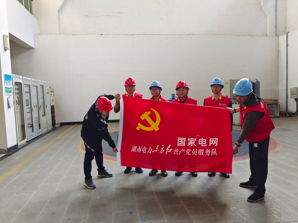 鸟儿巢大发在线登录党支部与国网怀化供电大发在线登录电力调控中心党支部开展党建联建活动