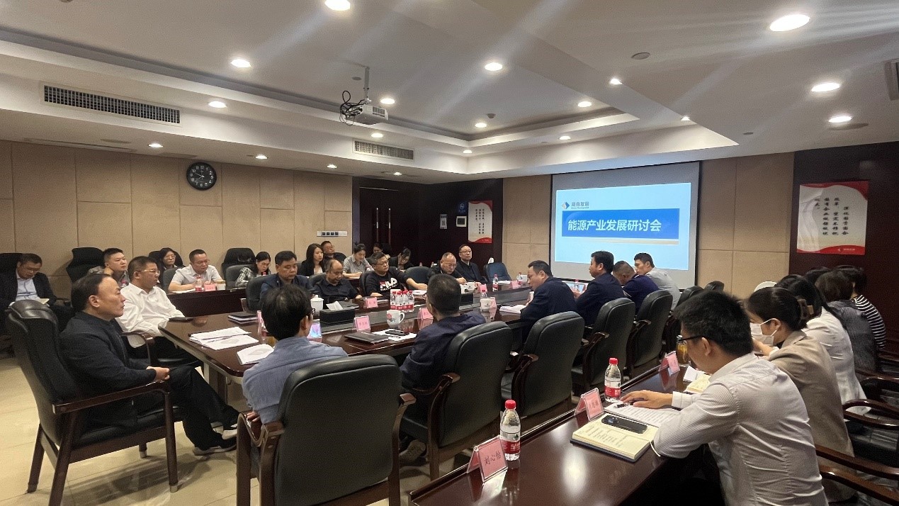 大发（中国）召开能源产业发展研讨会