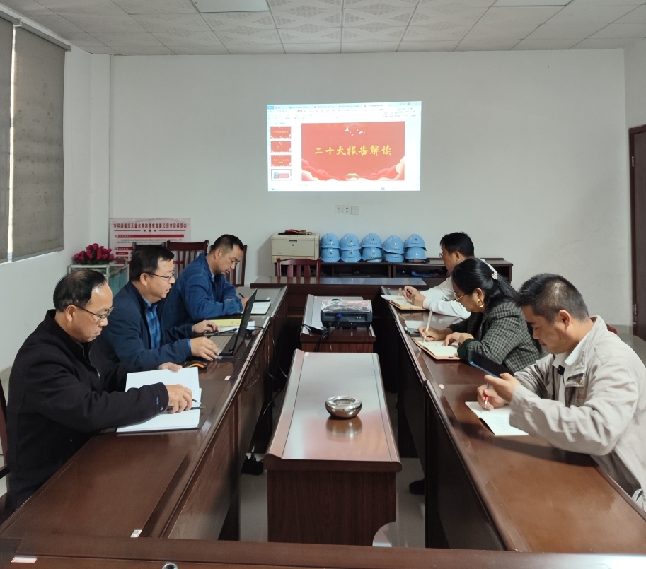 鸟儿巢大发在线登录党支部开展“一课一片一实践”主题党日活动