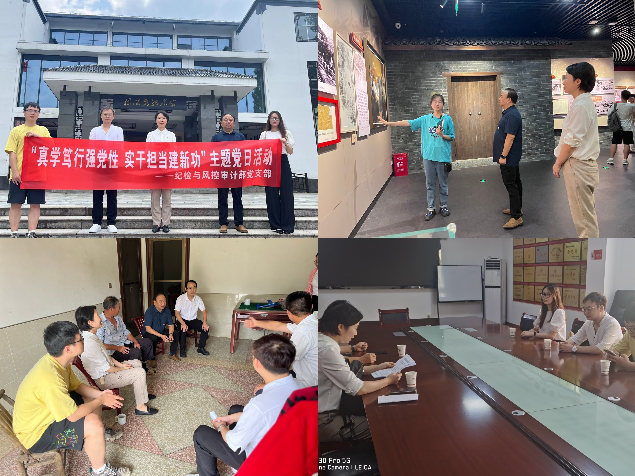 大发（中国）纪检与风控审计部党支部开展“真学笃行强党性 实干担当建新功”主题党日活动